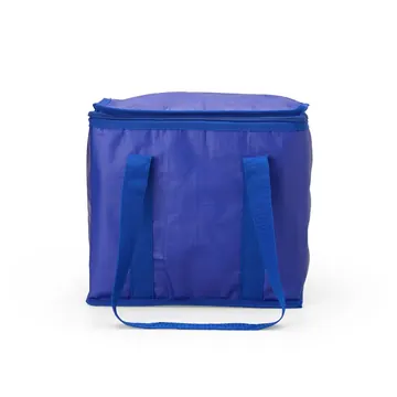 Bolsa Térmica 17 Litros