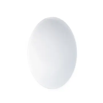 Espelho Adesivo Acrílico Oval 30 x 20