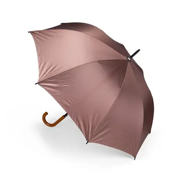 Guarda-Chuva Automático