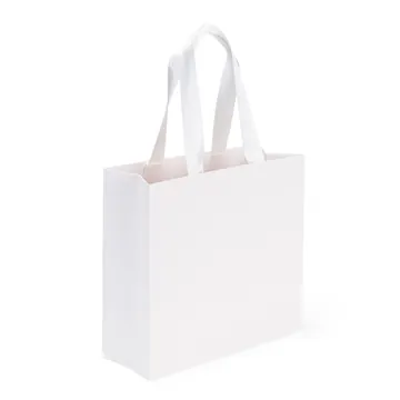 Sacola Papel Triplex 24 x 25