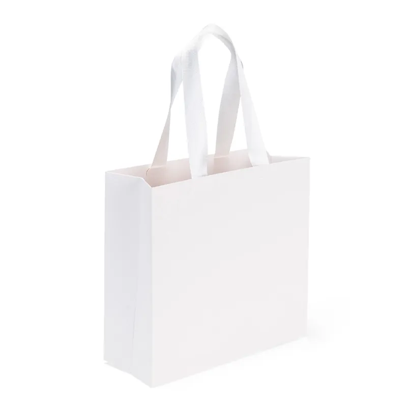 Sacola Papel Triplex 24 x 25